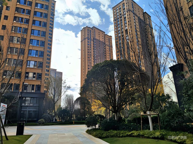 彩云城星湾俊园 大3房 客厅宽敞 楼道明亮 房东急售,俊发星湾俊园二手