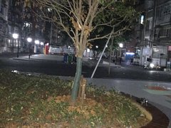 黄石港社区 2室1厅1卫