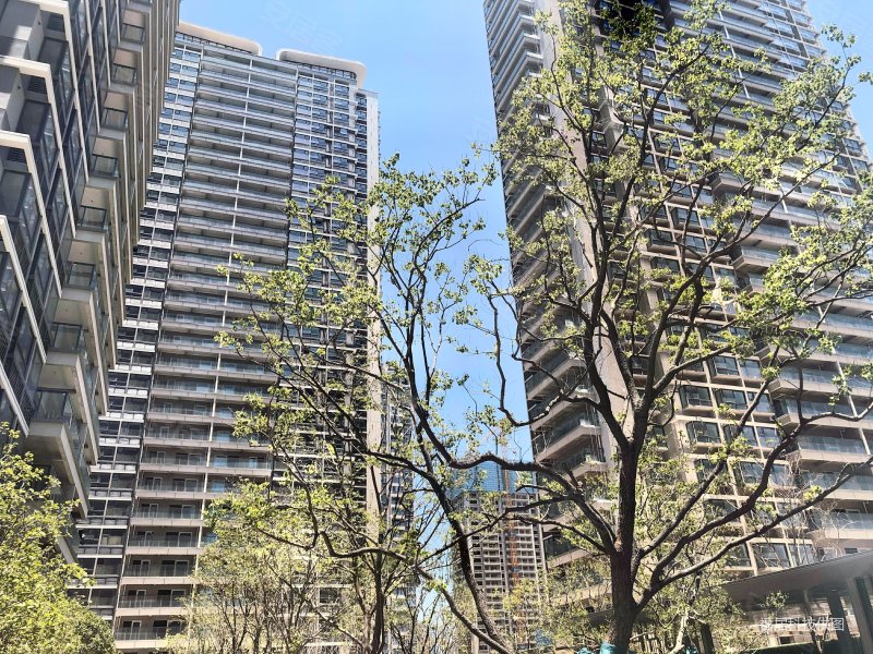 万科公园里(二期)|云福街299号3室2厅1卫87.68平方