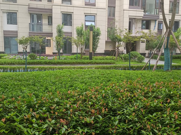 重庆渝北空港中国摩林莺花园中国摩林莺花园 1室精装修 南北通透 电梯