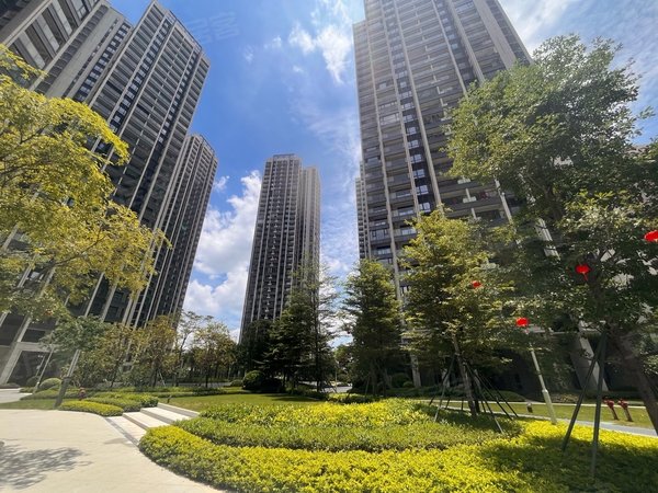 深圳宝安后亭嘉富宝禧花园沙井嘉富宝禧3房2卫 全新精装 出租 随时