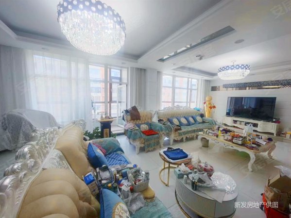 鸿城国际花园别墅 豪华装修 东岭南街 南北 8室4厅5卫