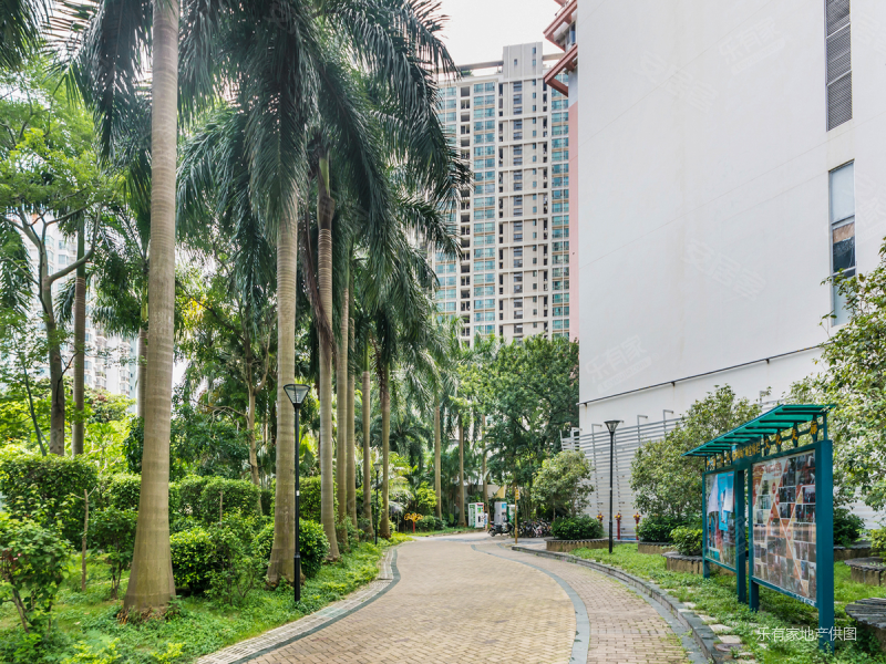 740w,业主委托,换房业主诚心出售,高楼层安静看花园,信和自由广场二手