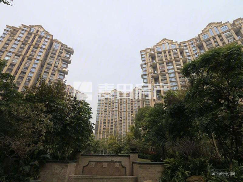 中央美地 临地铁 商业配套齐全 中间好楼层 豪华设计