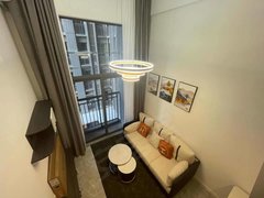 佛山南海金融高新区万科A32 年青人聚集地 全新复式公寓出租 宜家风格家私家电出租房源真实图片