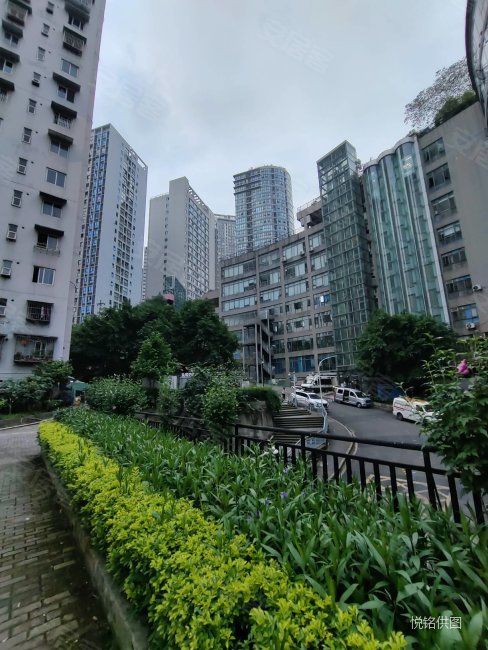 必看特价房,钱塘玫瑰湾,地铁房,精装大两房,拎包入住.