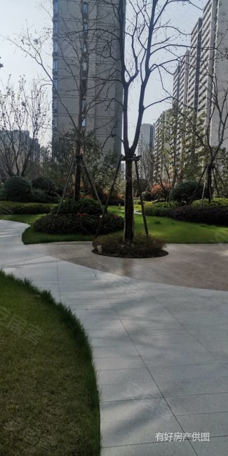 姚江晴雨边套 全新精装3室2厅2卫 双阳台 加包装