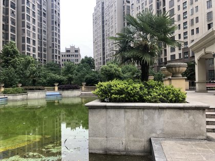 【大富绿洲房价走势,大富绿洲房屋出租,大富绿洲二手房出售】- 合肥58