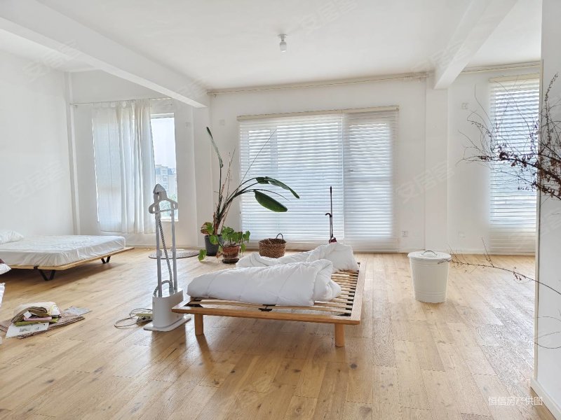 伯爵公馆 复试大h 单层121平 带南北露台 阁楼正常层高