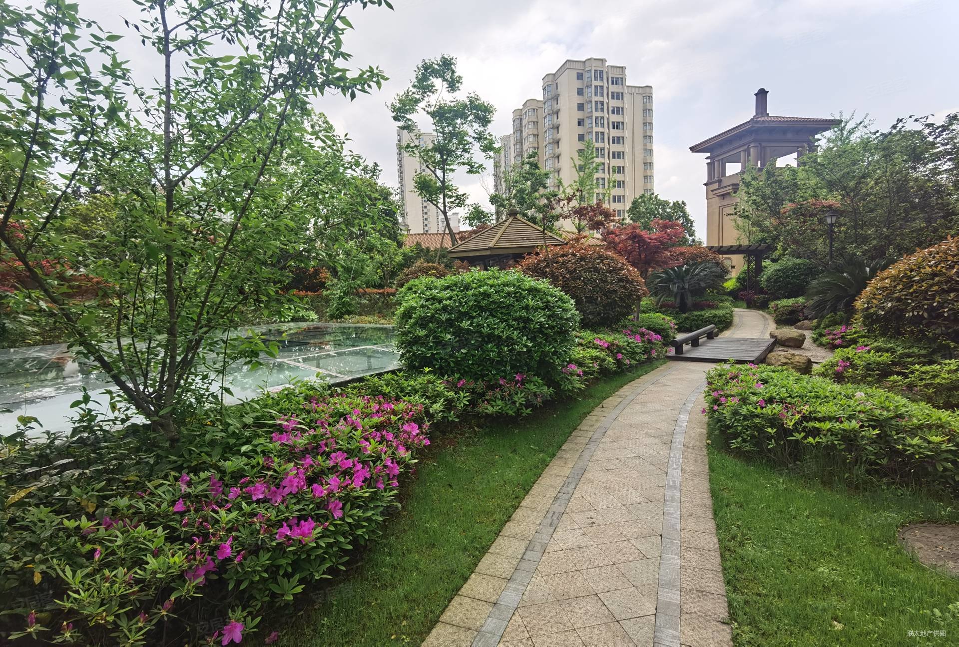 楚天逸品新出业主急售价格能聊可看江景与美丽的夜景