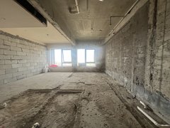 南昌红谷滩绿茵路地铁万科时代广场(商住楼) 1室1厅0卫 34平 电梯房出租房源真实图片