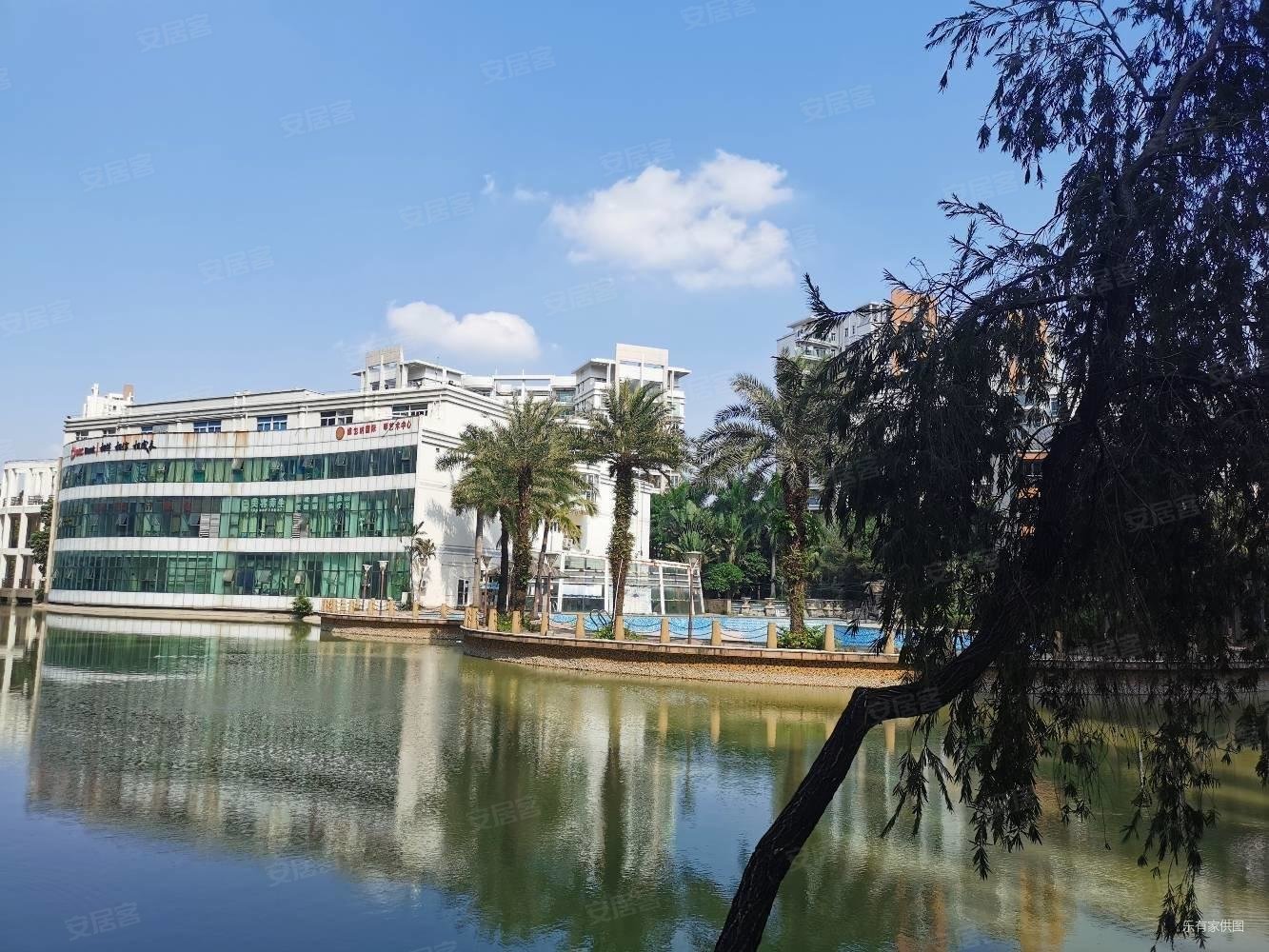 常黄路精装修多层17层南北东田丽园热卖