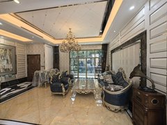 深圳龙岗龙岗中心城公园大地豪华装修别墅保养好随时看房出租房源真实图片