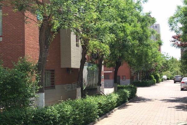 锦州小区 凌河小区 东湖公园小区 红叶枫景