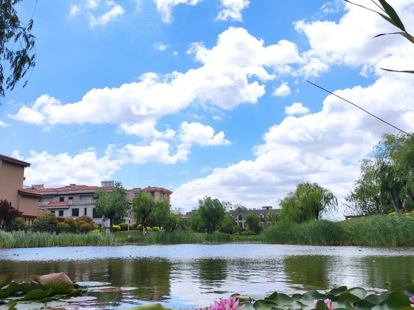 青岛城阳棘洪滩青岛碧桂园青岛碧桂园 精装套三~配置齐全~拎包入住