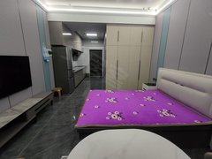 中卫中宁恒辰世纪为民公寓 一室一厅一厨一卫 精装修带家具家电出租房源真实图片