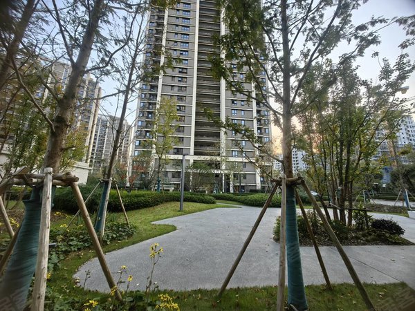 【多图】大悦澜庭,科技城租房,3房2卫,宜家家居,近星悦里商场,浅悦