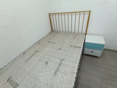 合肥包河包河工业园沪上人家 近中建智立方 燕之坊 青网科技园 智立方 花园大道出租房源真实图片