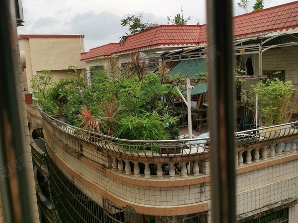 广州天河岑村岑村红花岗西街2号住宅楼岑村红花岗一房一厅出租好光线