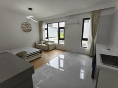 合肥高新柏堰湖北雁湖地铁口 容知日新 小林制药 天源迪科 世茂国风别墅套内出租房源真实图片