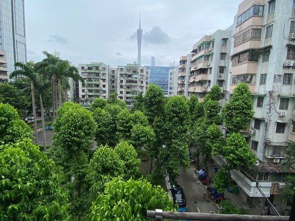 广州海珠客村鸿运花园(海珠)我是本房维护人(居家简约风格)步梯中层