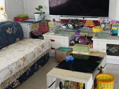 宁津城区德百广场好楼层 拎包入住 价格合适 进出停车方便 有储藏室出租房源真实图片