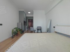重庆南岸南滨路和黄御峰二期 精装修 1室1厅1卫 电梯房 楼下就是地铁站出租房源真实图片