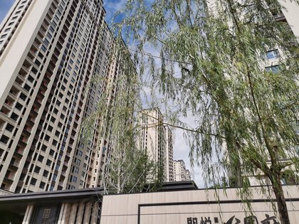 朗悦公园府悦棠苑