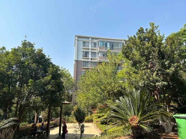 昆明呈贡市政府白龙潭俊园淏园中华小学对面,精装修领包入住四房带