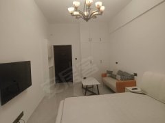 宜宾翠屏西郊独立式公寓套1，1200元一个月精装修家具家电齐全出租房源真实图片