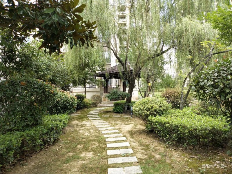 别墅来了,河西高档小区 紫棠府,六安人民医院 体育馆 附近