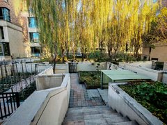 唐山路南信息大厦仁恒金沙府 5室3厅4卫 350平 南北通透 豪华装修出租房源真实图片