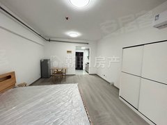 淮南田家庵中化国际城中环 精装公寓 麻灿新 诚心出租出租房源真实图片