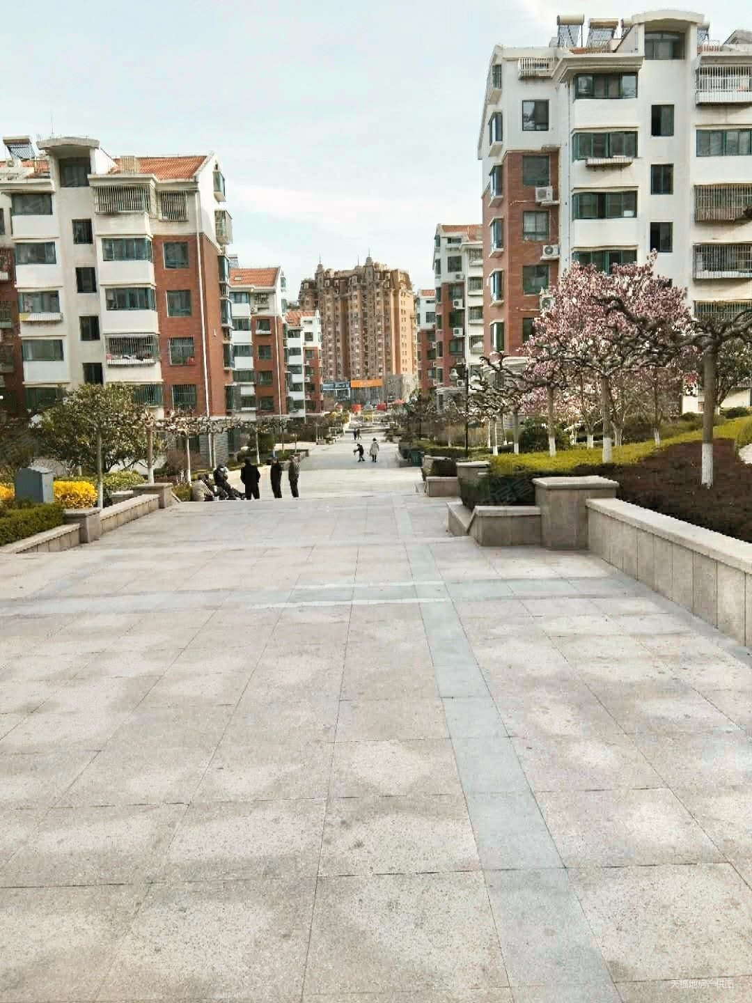 实拍有钥匙埠西花园封闭管理地暖房84平245万4楼