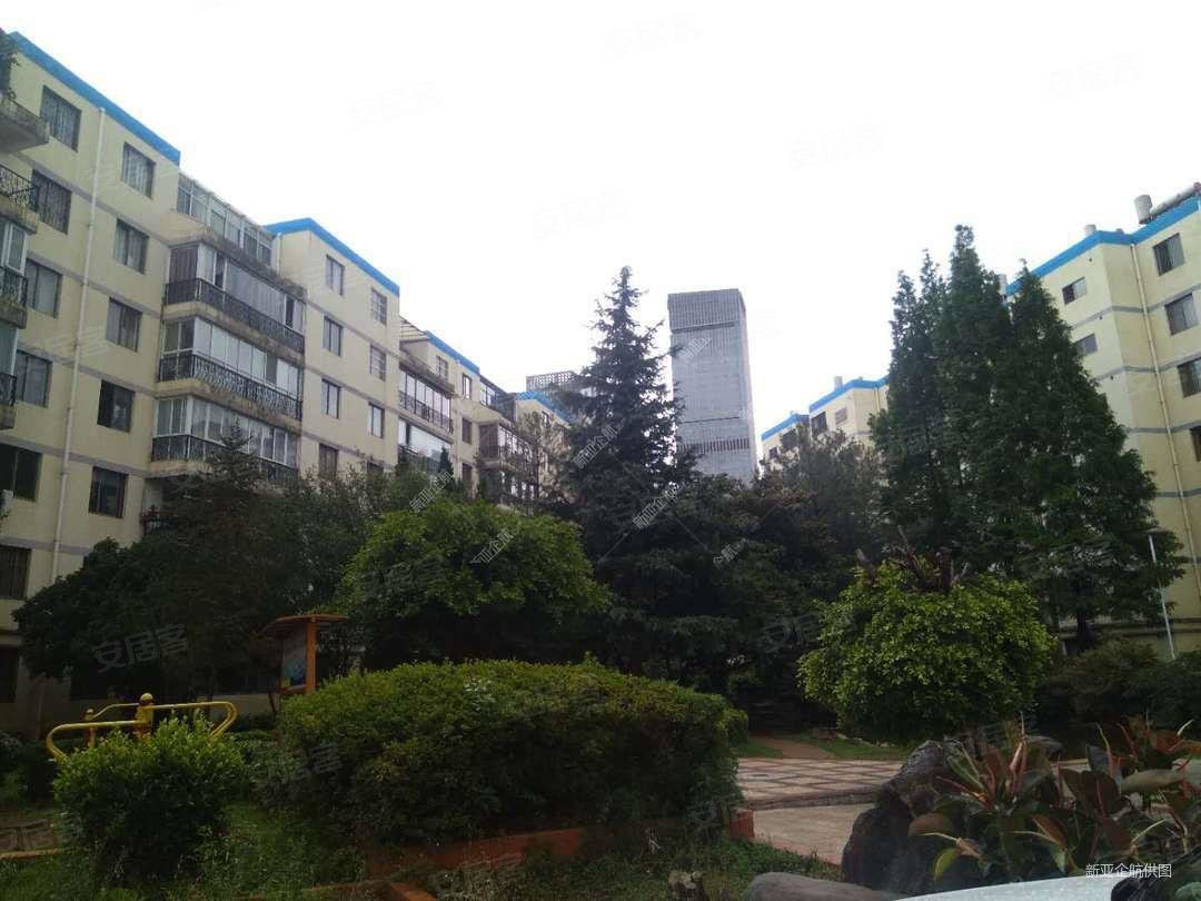 一梯两户纯板房 !金泉小区 面朝小区主景观