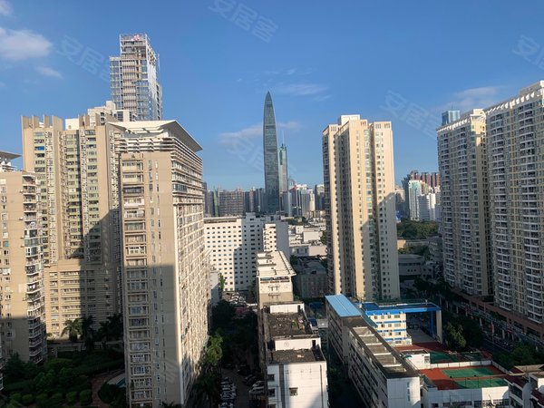 深圳福田华强北宝树台(华强北 宝树台,急租!