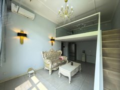 唐山路南路南南湖春晓三期 精装一室loft 家具家电齐全可随时入住出租房源真实图片