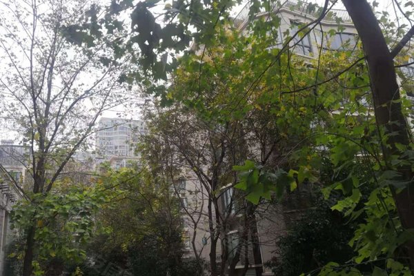 水墨兰庭(南区),南二环路1550号 - 合肥水墨兰庭(南区)二手房,租房