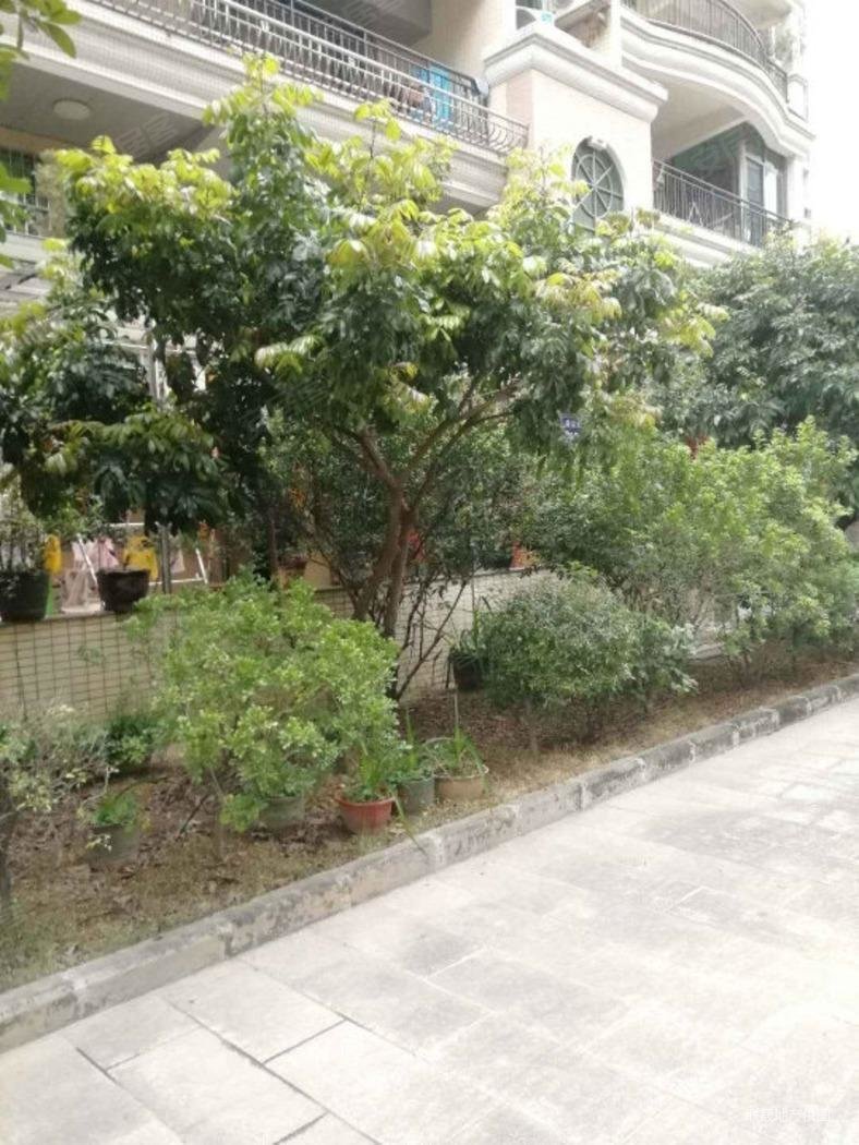 新会雅景花园3室2厅2卫95㎡南北69.8万