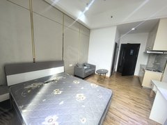 东莞黄江天虹风度盛荟(商住楼) 租客免佣 可押一付一 精装修 可拎包入住出租房源真实图片