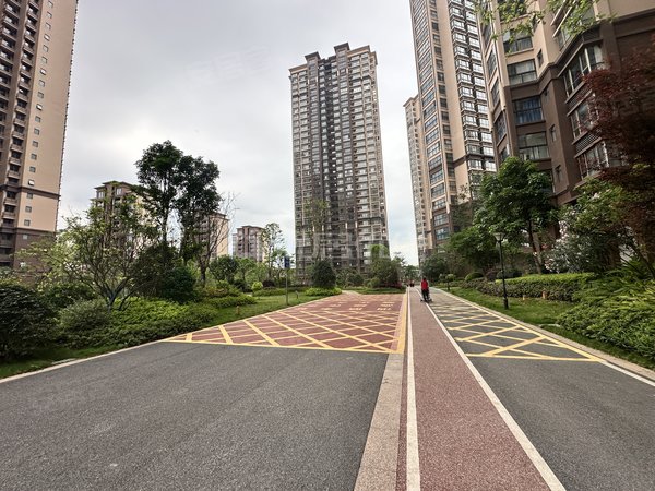 【多图】威宁首府(一期),壮锦大道租房,109平 押二付三 整租 精装