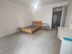 芜湖鸠江银湖波尔卡SOHO 单身公寓 就是这么便宜出租房源真实图片