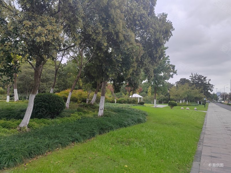 金塘园 出行方便 中间楼层采光好 小区绿化高 近医院