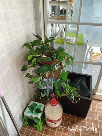 凯旋城复式,三房二厅一卫,设全,采光好