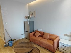 常熟市区文化片区世茂世纪中心(商住楼) 1室1厅1卫  电梯房 精装修出租房源真实图片