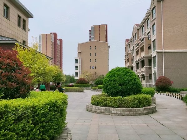 保定雄安新区雄县鑫城小区雄县一室一厅,南北通透户型79平带露台,精