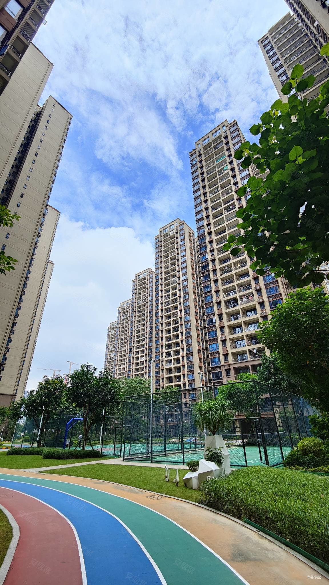 単价8 0 00!碧桂园凤凰湾听涛朝东南望花园,只交契税,碧桂园凤凰湾二