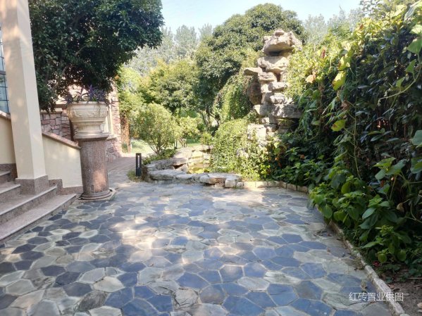 聆湖丽墅 独栋别墅 1200平花园 有庭院假山 临湖位置