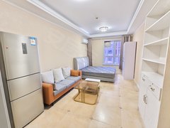 银川兴庆丽景街海宝公园蓝泰广场旁玺云台精装公寓带空调独立厨房带燃气家电齐全出租房源真实图片