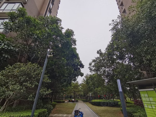东莞道滘道滘城区沿海丽水佳园沿海丽水佳园 拎包入住3房精装修 南北